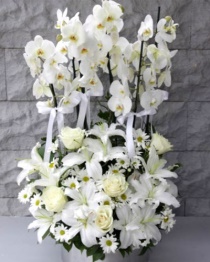 Beyaz Orkideli Aranjman