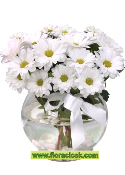 Kıbrıs çiçek siparişi 55