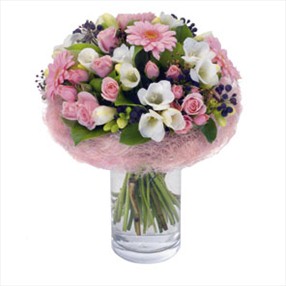 İrlanda buket 2 İrlanda buket 2