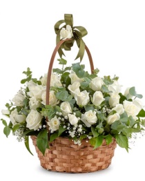 Sepette Beyaz Güller