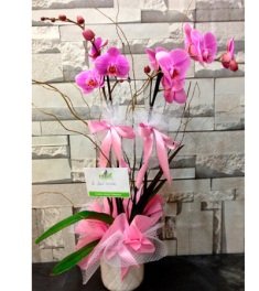 seramik orkide