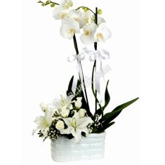 orkide lilyum aranjman