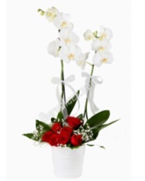 Sevgiliye çiçek 37