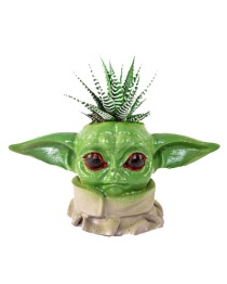 Baby Yoda Sukulent