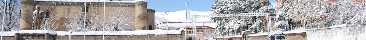 Bitlis çiçek siparişi