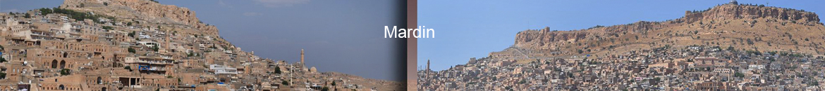 Mardin Havaalanı Çiçek siparişi