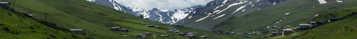 Rize güneysu çiçekçi, güneysu çiçek gönder, güneysu çiçek siparişi, güneysu hediye gönder